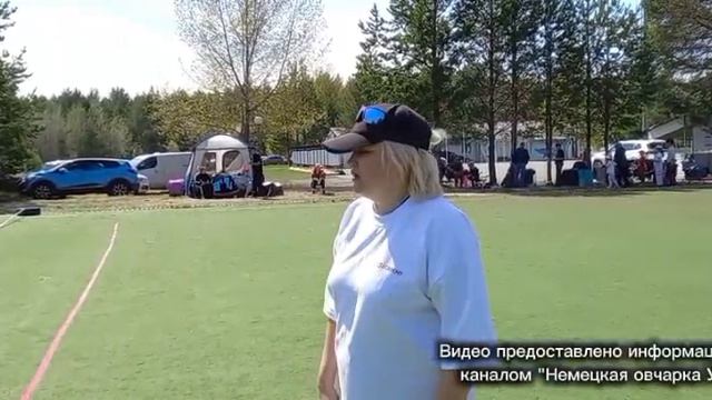 МОЛОДЫЕ СУКИ / КЧК СУРГУТ 31 мая`26 Е.Никитина Моно немецких овчарок