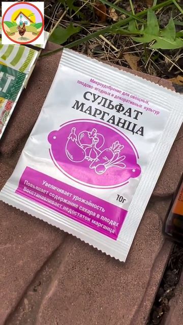 обработка клубники для богатого урожая