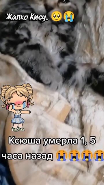 Плачу уже ПОЛ ЧАСА!! 😭😭😭😭😭😭😭😭😭😭😭😭😭😭😭 смотреть онлайн