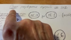 План разведения нутрий на год
