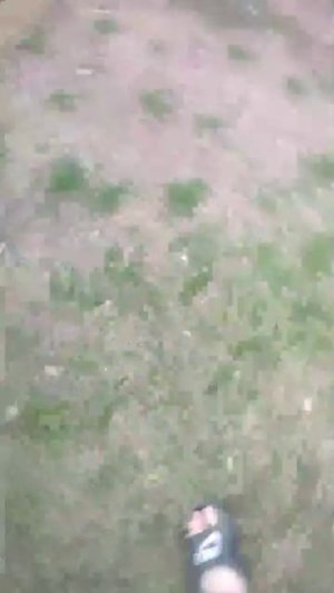 11-06-2026