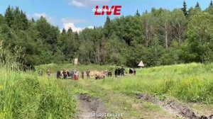 Экзамен на прочность | База СОБР «Гюрза» | Репортаж СоловьёвLive