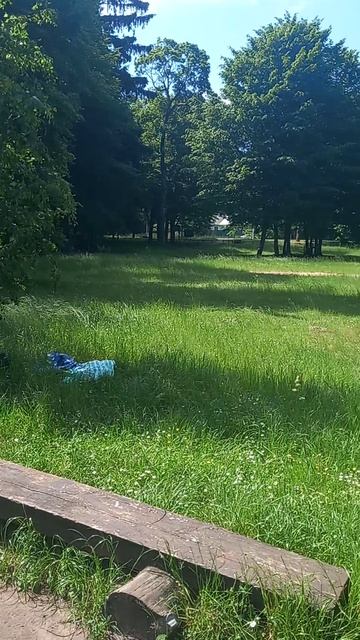 Кемпинг "Бочка" у озера Свитязь РБ