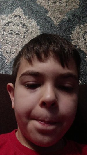 обзор на дом