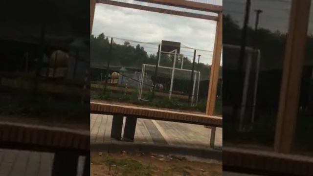 Доганялки на заражения смотреть онлайн