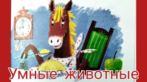 М. ЗОЩЕНКО. «УМНЫЕ ЖИВОТНЫЕ» РАССКАЗЫ ДЛЯ ДЕТЕЙ🌺
