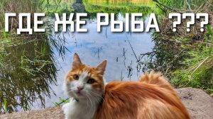 Не клюет карась