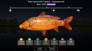 ЮБИЛЕЙНЫЕ ЭКСТРА ЗАДАНИЯ 2026!!! 7 ЭТАП - РУССКАЯ РЫБАЛКА 4