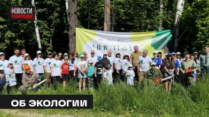 Экологическая акция «Чистый лес» прошла в Мытищах