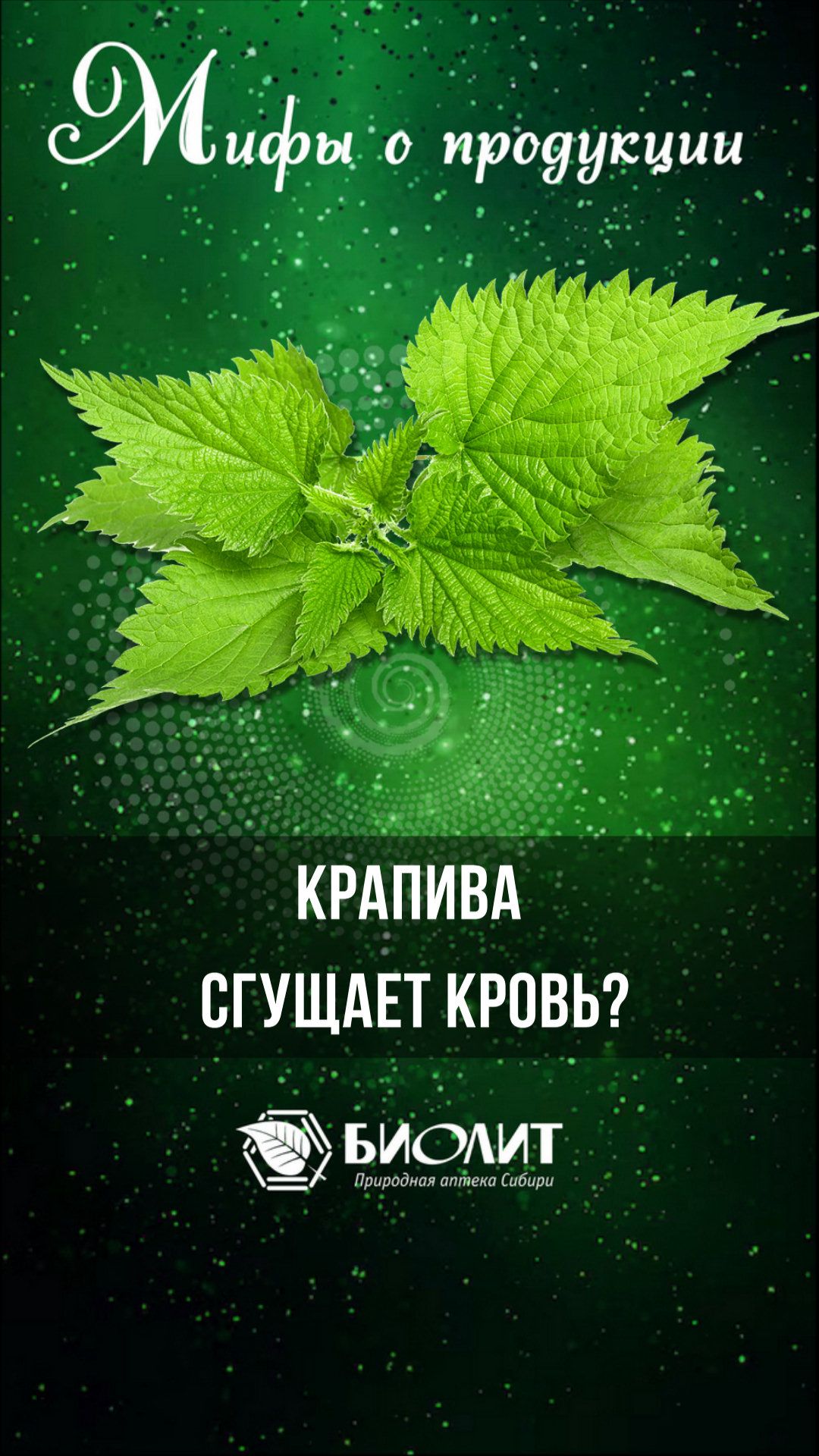 Крапива сгущает кровь?
