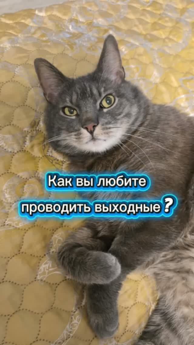Как вы любите проводить выходные? 🤣 смотреть онлайн