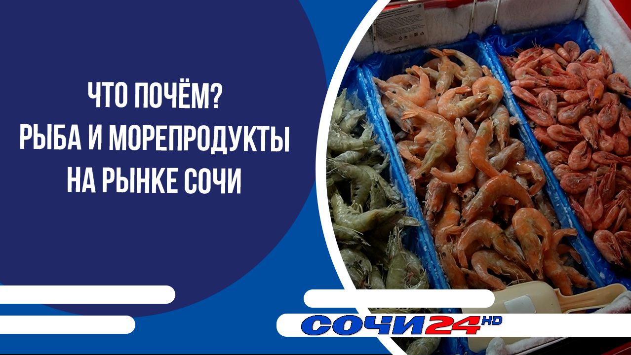 Что почём? Рыба и морепродукты на рынке Сочи