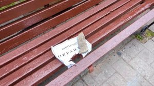 Калининград. Музей янтаря, прогулка по городу