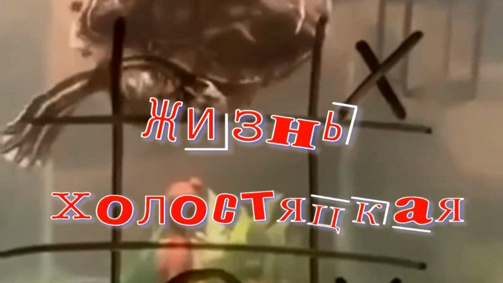 Жизнь холостяцкая. Стихи, монтаж и генерация звука в ИИ - Евгений Доставалов