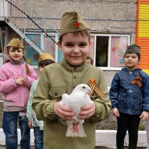 Мы на погрибе. 27 ул,  мира томск