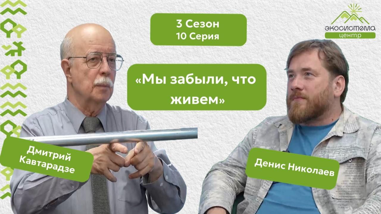 3 сезон 10 серия Дмитрий Кавтарадзе