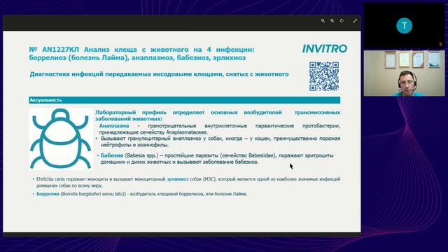 Инфекции, переносимые клещами. Методы диагностики, профилактики, терапевтические алгоритмы