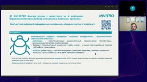 Инфекции, переносимые клещами. Методы диагностики, профилактики, терапевтические алгоритмы