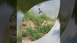 Красота природы