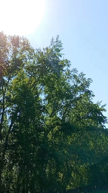 😍🥰 Прогулка на свежем воздухе — одно удовольствие! 💐☀️