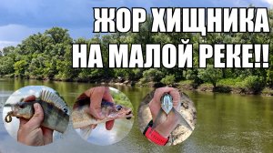 ЖОР ХИЩНИКА НА УЛЬТРАЛАЙТ, ход чехони на реке Сок, берш, окунь, щука