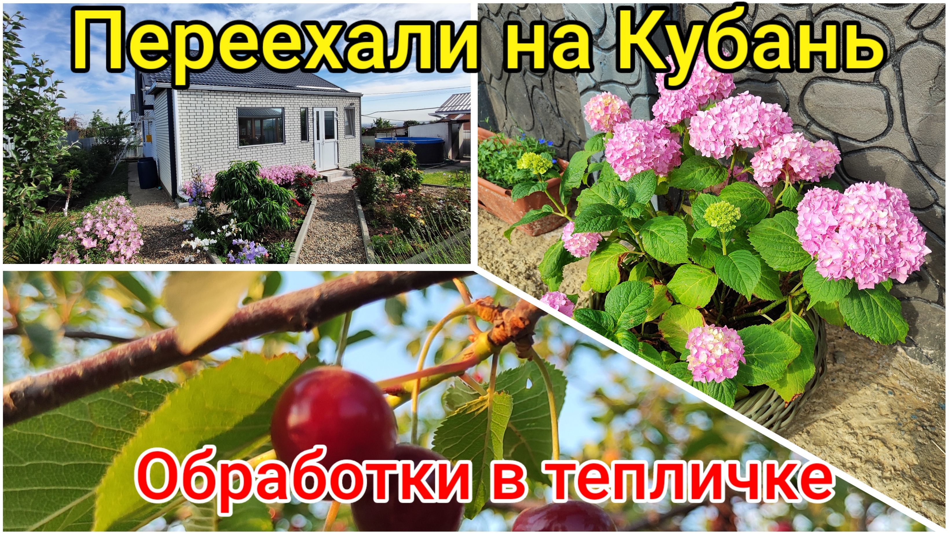 Переехали на КУБАНЬ🌻 Обработки в тепличке 🥒 Любимые растишки🌿