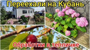 Переехали на КУБАНЬ🌻 Обработки в тепличке 🥒 Любимые растишки🌿