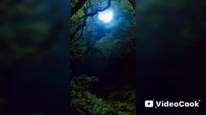 «Мои Топ : Легендарных сериалов канала НТВ».