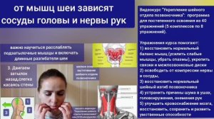 Как «размучить» измученные шею и голову? Включите длинные глубокие мышцы. Упражнения