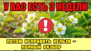 НЕ СДЕЛАЕТЕ ЭТО ВО ВРЕМЯ ЦВЕТЕНИЯ КЛУБНИКИ - урожай уже не спасти.