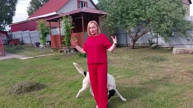 Отдыхаем в хорошей компании. смотреть онлайн