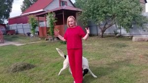 Отдыхаем в хорошей компании.