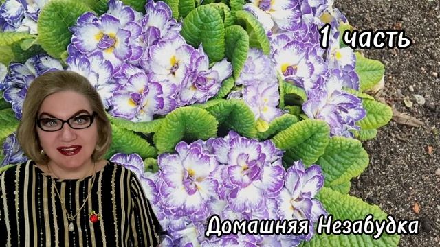 1 часть. У оп@рышей с деньгами БЕДА😭❗️Сделайте куче скидку❗️ смотреть онлайн
