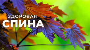 Здоровая спина. Исцеление спины (мышцы, кровообращение, нервы, лимфа и т.д.) | Саблиминал
