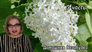 3 часть. Гаврила ВКУСИЛА хорошее ,теперь другого не хочет❗️Или ВЫКУСИЛА🤔❓️