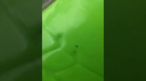 Доганялкина на заражения ЧАСТЬ 2
