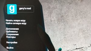 играю в Garry's Mod с друзьями