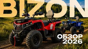 BIZON YK250 - доступный квадроцикл с ПТС _ ОБЗОР