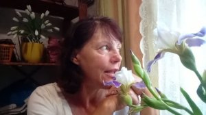 11 июня первый дождь за лето