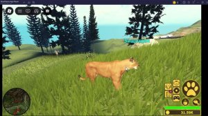 Мирная игра за кугара в Roblox: Yellowstone Unleashed