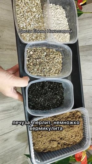 НЕ ДОПУСКАЙТЕ ГЛАВНУЮ ОШИБКУ! Если купили АНТУРИУМ, СДЕЛАЙТЕ ТАК!