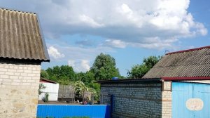 Жара и я поливаю)) Эксперимент с костями))