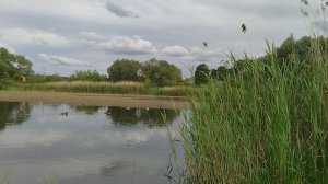 Немедленно... на природу...
душа требует свободы 🥰
