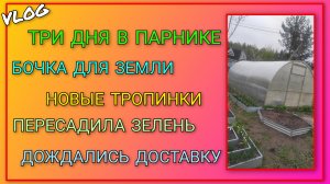 🍒 Три дня в парнике/ Сделали бочку для земли и освободили парник/ Новые тропинки/ Пересадила зелень
