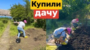 2 серия / КУПИЛИ ДАЧУ / Чистим заросший участок / Посадили огурцы