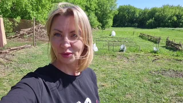 УЧАСТОК В ДЕРЕВНЕ. КУПИЛИ ПОЧТИ БАССЕЙН И ПОЧТИ ПАЛЬМЫ)