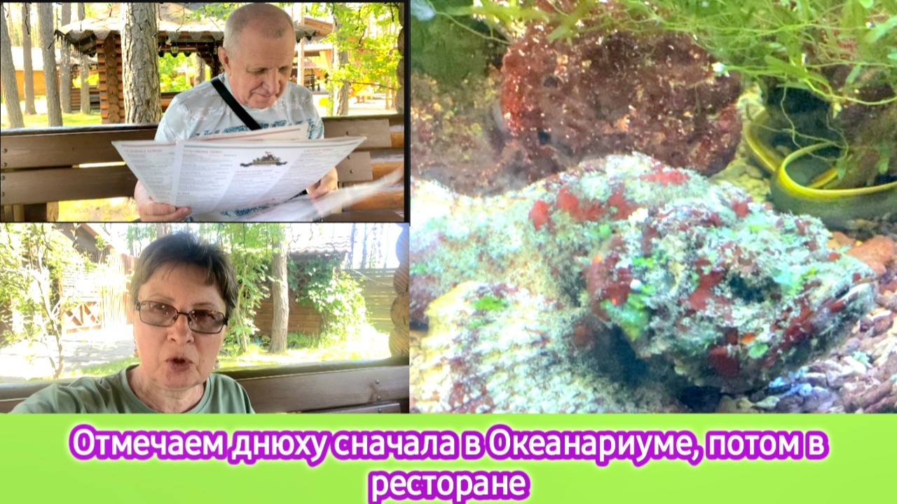 Отмечаем днюху - сначала в океанариуме, потом в ресторане. песня Галины Аверо смотреть онлайн