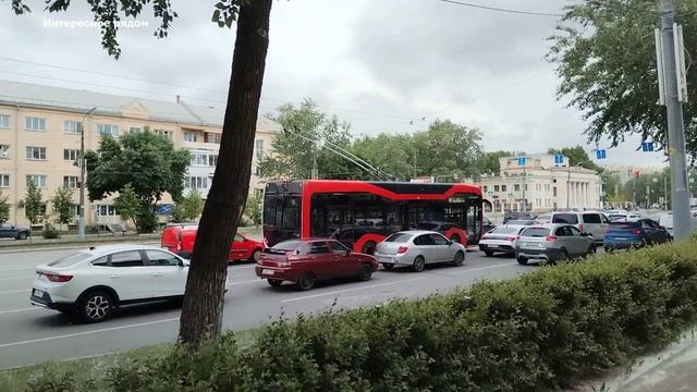 Цветущий тополь. Июнь