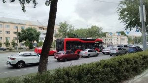 Цветущий тополь. Июнь