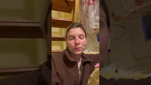 ЭНЕРГИЯ ОТНОШЕНИЙ. ВНЕ ЗАВИСИМЫХ РЕАКЦИЙ #новоевремя #судьба #отношения #идеальныйпереход